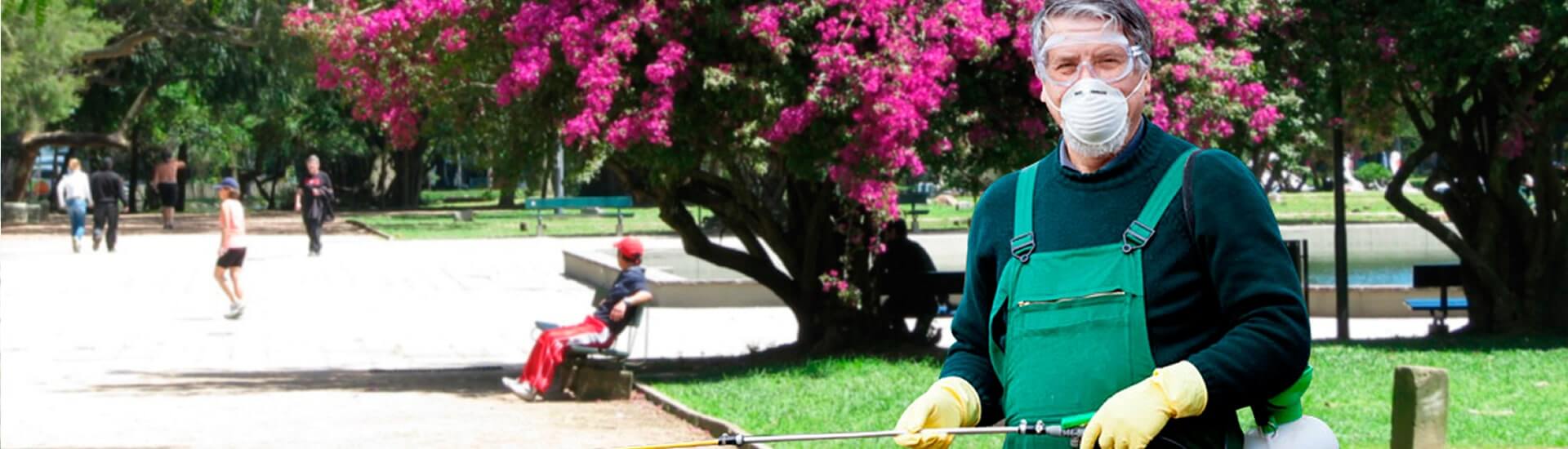 Eliminar as pragas de verdade em Sorriso, MT