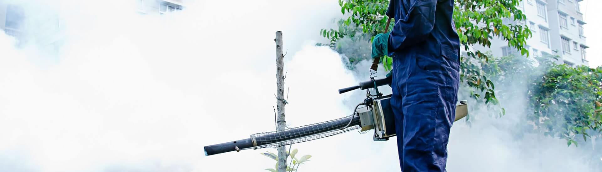 Contrate-nos e fique livre de pragas urbanas e ruraias em sorriso, MT