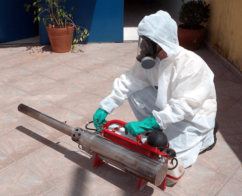 Serviço de Desratização em Sorriso, MT