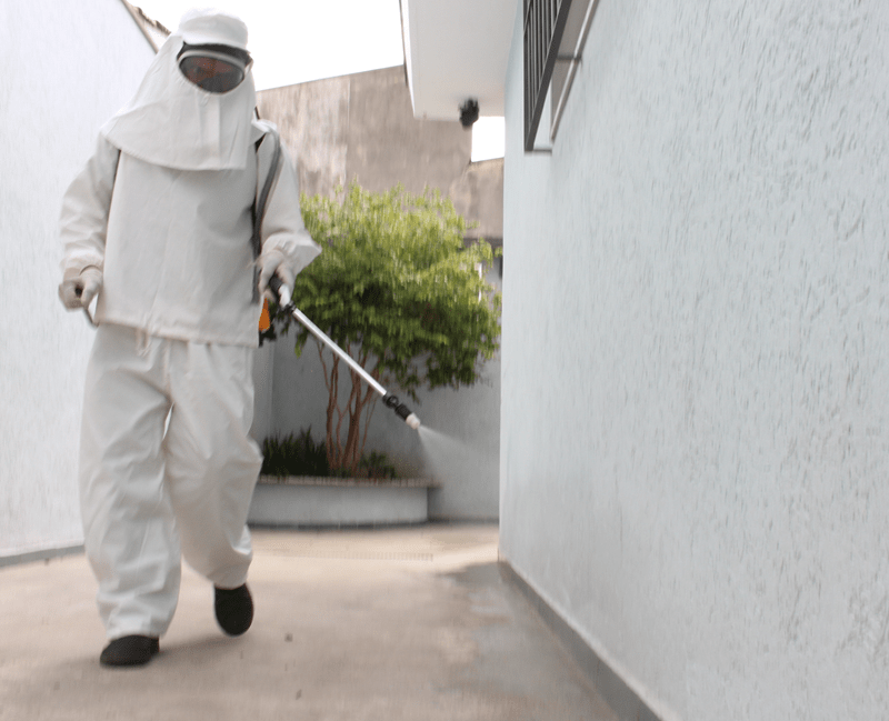 Serviço de Desinsetização em Sorriso, MT