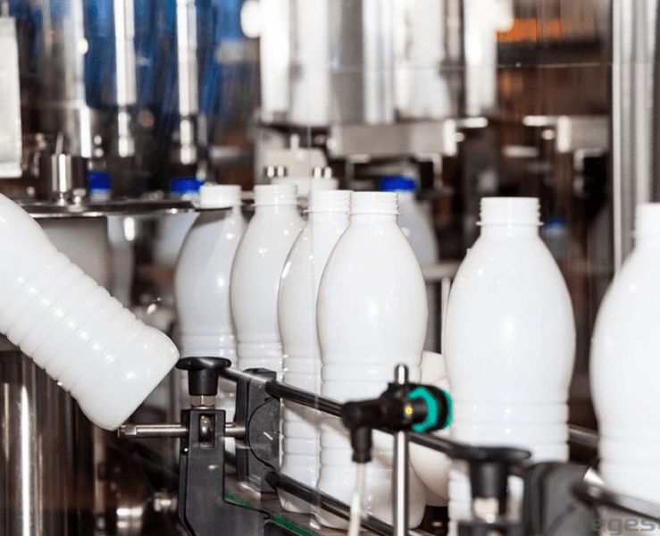 Dedetizamos pragas em Industrial